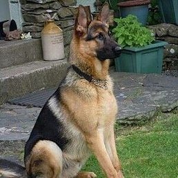 ����, ������, 34 ����