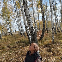 �����, ������, 67 ���