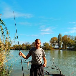 ����, ���������, 40 ���