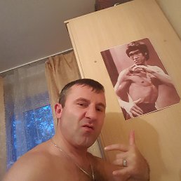 ���� ����, ������, 46 ��� - ��������� 3 ������ 2026