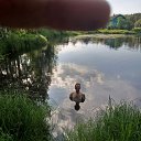 ���� ������, �����, 41 ��� - ��������� 27 ���� 2024 � ������ ���� ����������