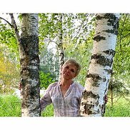 ����, 54 ����, �������������