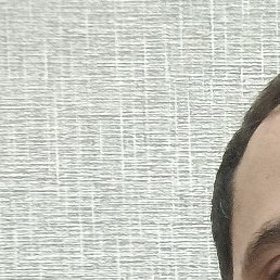 �����, �����, 36 ���