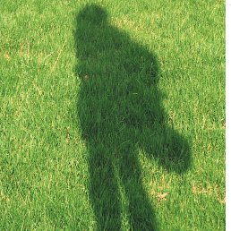 ���������, ������, 44 ����