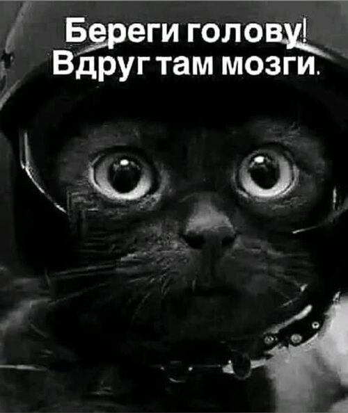 Всё будет хорошо! - 11 июня 2025 в 07:46