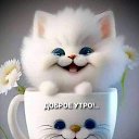 ���� �������, �����������, 64 ���� - ��������� 21 ������� 2024 � ������ ���� ����������