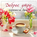 , , 43  -  1  2024    