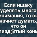 ���� �����, ��������, 53 ���� - ��������� 28 ������� 2024 � ������ ������Ż