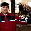 ���� ������, ������, 67 ��� - ��������� 16 ���� 2025 � ������ ���� ����������