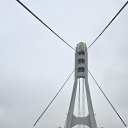 ���� �����, �������, 58 ��� - ��������� 6 ������� 2025 � ������ ���� ����������