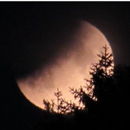 ���� ����, ������������, 41 ��� - ��������� 22 �������� 2024