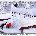 ���� ����, ������� - ��������� 21 ����� 2024 � ������ ������ ��������