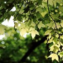 ���� ������, �������, 55 ��� - ��������� 18 ������� 2023 � ������ ������ ��������