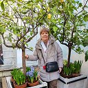 ���� ���, ������, 60 ��� - ��������� 28 ������� 2026