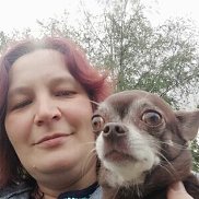 �����, 53 ����, �����