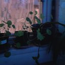 ���� ��������, ������ - ��������� 8 ���� 2026 � ������ �������