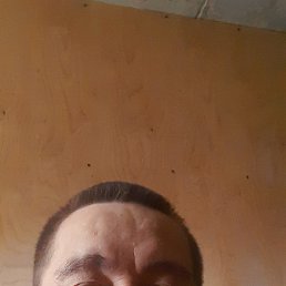 , 49, 
