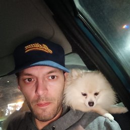 �������, 36 ���, ������������