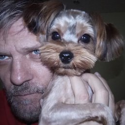 ���� ���������, ������, 48 ��� - ��������� 11 ������� 2025