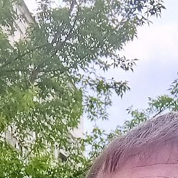 ������, ��������, 41 ���