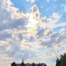 ����, �������, 52 ����