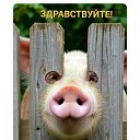 ���� ������, ������, 48 ��� - ��������� 24 ������ 2025 � ������ ������ ��������