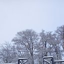 ���� �������, ������, 59 ��� - ��������� 8 ������� 2026 � ������ ���� ����������
