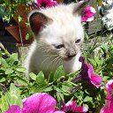 ���� �������, ������, 55 ��� - ��������� 2 ���� 2025 � ������ ������� ���