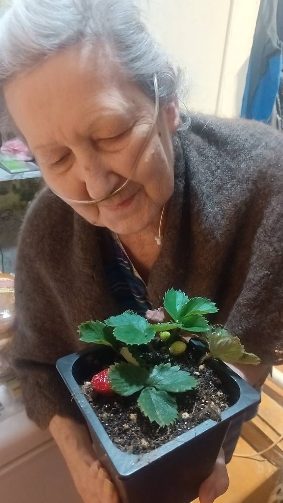 Родной сын отказался от матери. Она осталась совсем одна. Поддержите Веру Васильевну, ей больше не к ... - 3