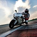 ���� T�����, ����� - ��������� 31 ������� 2025 � ������ ���� ����������