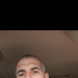 , 38, 