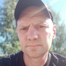 ����, ������, 41 ���