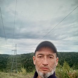 , 44, 