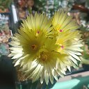 ���� �������, �����, 62 ���� - ��������� 13 ������ 2024 � ������ ���� �����