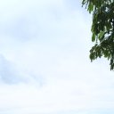 ���� �������, ��������, 60 ��� - ��������� 24 ������ 2026 � ������ ���� ����������