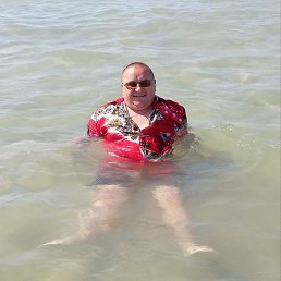 ������, ����������, 44 ����