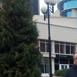 ���������, ������, 65 ���