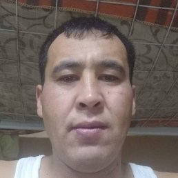 ������, ������, 37 ���