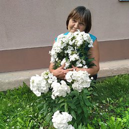 ������, �������