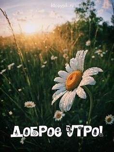 ���� �������, �����������, 70 ��� - ��������� 12 ������ 2024