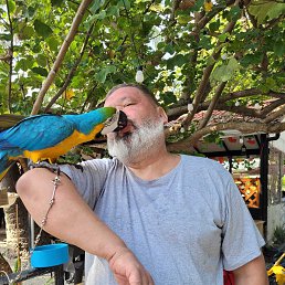 ���� ������� ��������, ��������, 59 ��� - ��������� 10 ����� 2024