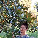 ���� �� ������� ���� ����������