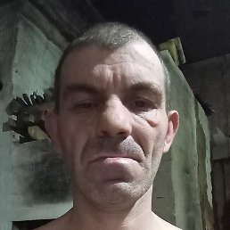 �����, ������, 41 ���