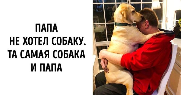 Папы всегда сначала не хотят, а потом становятся с собакой лучшими друзьями