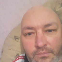 , 50, -