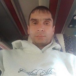 �����, 41 ���, �����-��������