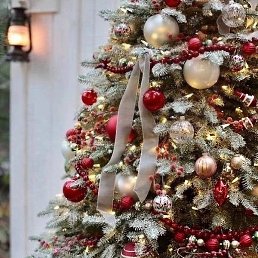 �������, �������, 49 ���