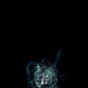 �����, 41 ���, ������