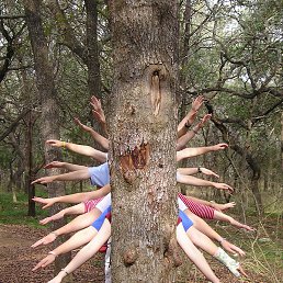 Pixy Dust, ������, 26 ���