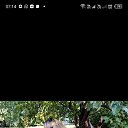 ���� �������, ������-��-���, 64 ���� - ��������� 19 ������� 2024 � ������ ���� ����������